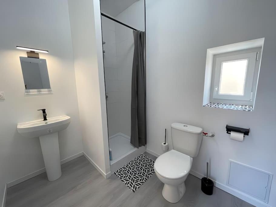 Studio B2 20M2 Cosy 5Min A Pied Des Gares Roanne Dış mekan fotoğraf
